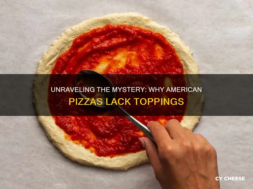 why there is only sauce and cheese in american pizza