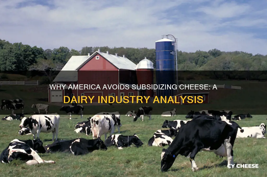why us does not subsidize cheese in america