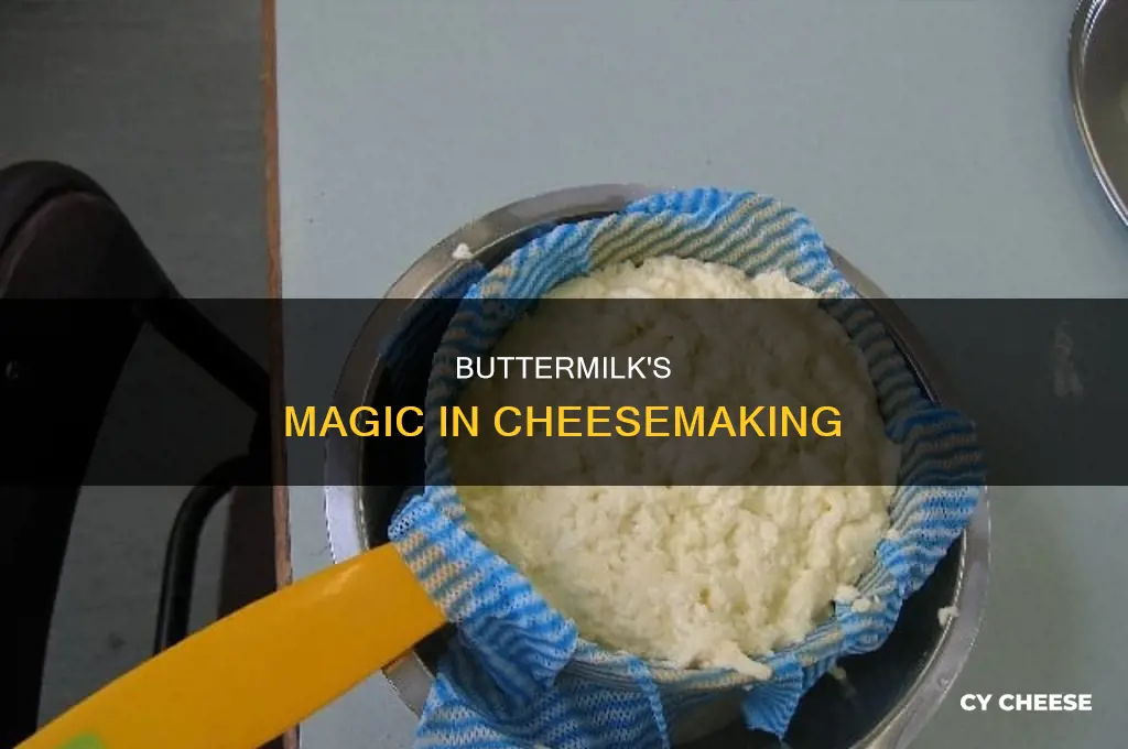 why use buttermilk in making cheese