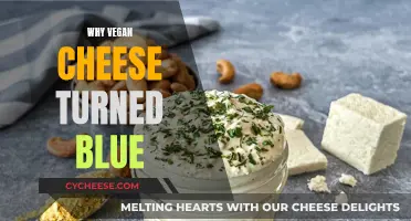 Vegan Cheese Blues: Why It Turns Blue