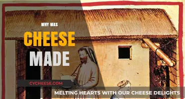 The Ancient Art of Cheese: Uncovering the Origins