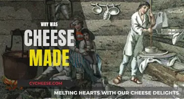 Cheese's Ancient Origins: A Historical Overview