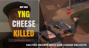 The Shocking Truth Behind the Murder of Yng Cheese