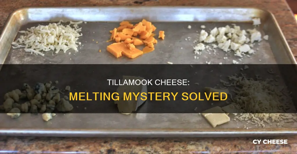 why will tillamook cheese not melting