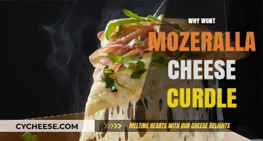 Why Mozzarella Cheese Resists Curdling: The Science Behind Its Stretch