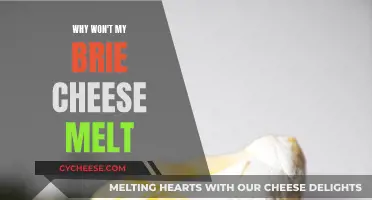Brie Cheese Not Melting: What's the Issue?