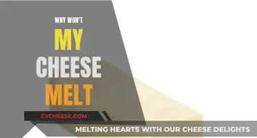 Cheese Won't Melt: Troubleshooting Your Melting Mishaps