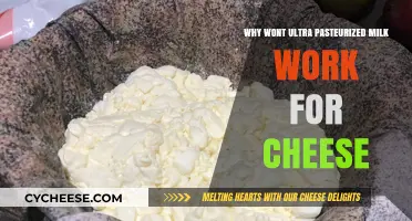 Ultra-Pasteurized Milk Fails Cheese Making: Key Reasons Explained