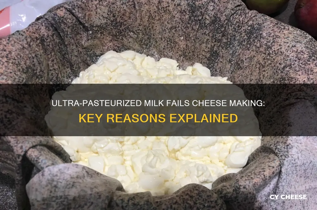 why wont ultra pasteurized milk work for cheese