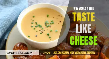 Cheesy Beer: The Science Behind the Flavors