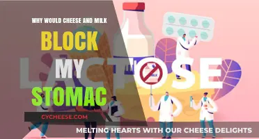 Why Cheese and Milk Cause Stomach Blockages: Understanding Lactose Intolerance
