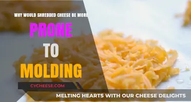Why Shredded Cheese Molds Faster: Uncovering the Surprising Reasons