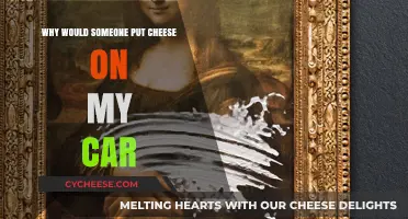 Strange Phenomenon: Why Cheese on Cars?