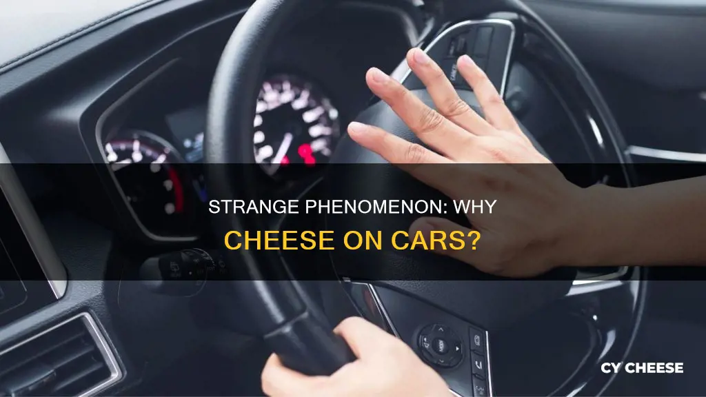 why would someone put cheese on my car