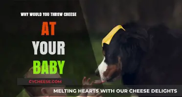 Cheese-Throwing at Babies: Unraveling the Strange and Surprising Trend