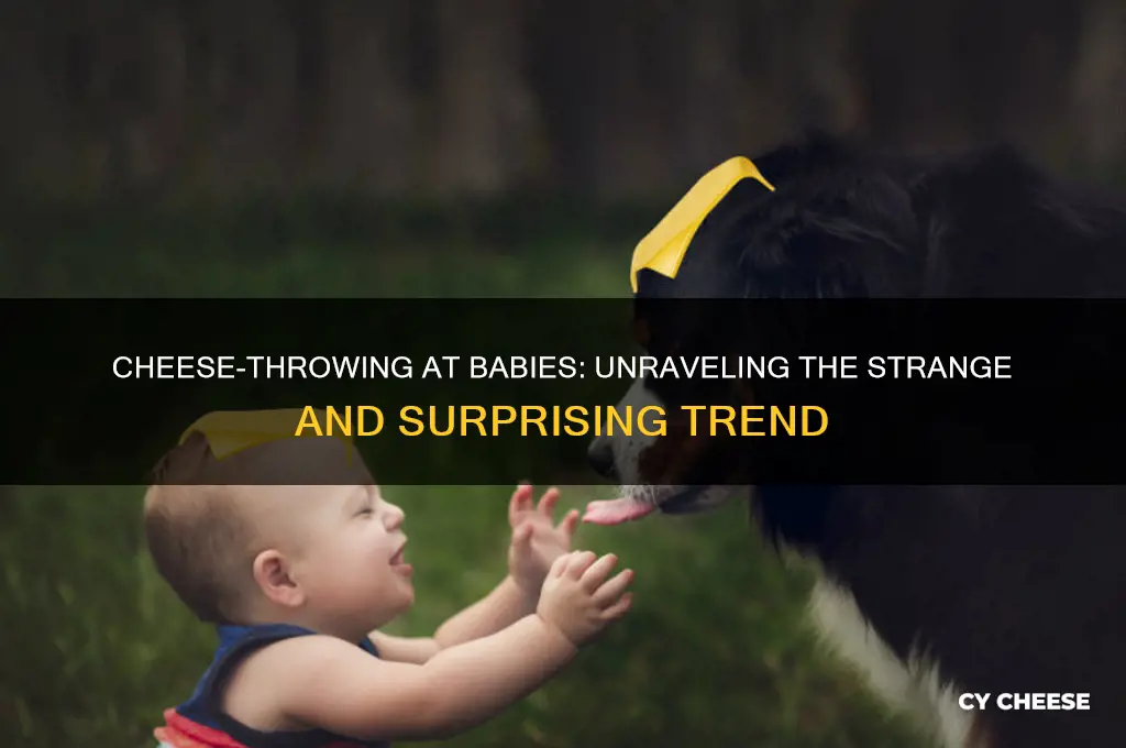 why would you throw cheese at your baby