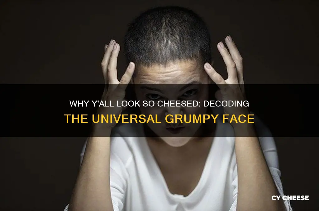 why yall look so cheesed