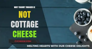 Why Yogurt Triggers IC But Cottage Cheese Doesn’t: Unraveling the Mystery