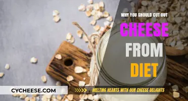 Ditch Cheese: Healthier Alternatives and Benefits of a Cheese-Free Diet