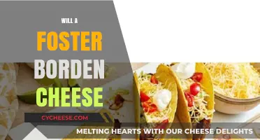 Will Foster Borden Cheese Melt, Stretch, or Crumble? Find Out!
