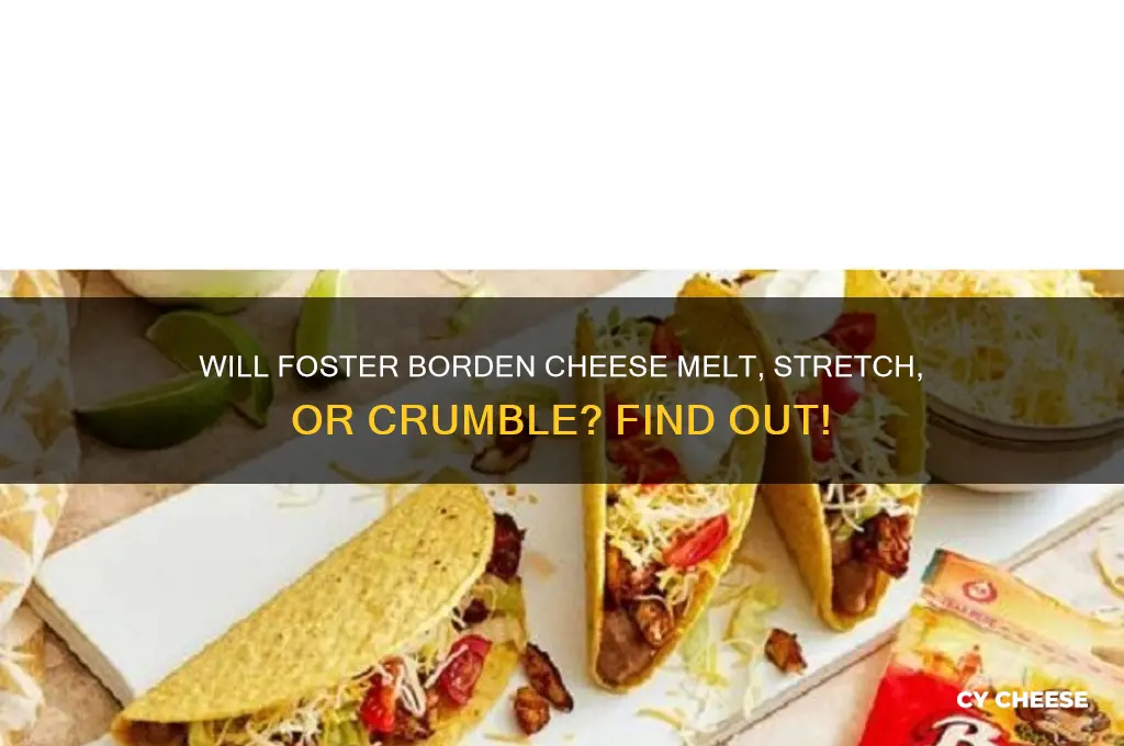 will a foster borden cheese