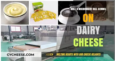 Microwave and Dairy Cheese: Does It Eliminate Germs Effectively?