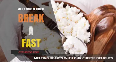Does Cheese Break a Fast? Unraveling the Truth for Fasting Enthusiasts