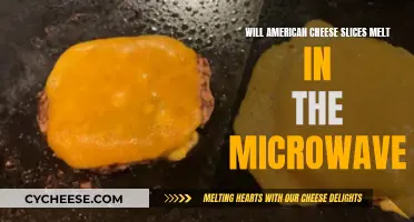 Microwaving American Cheese Slices: Melting or Mess?