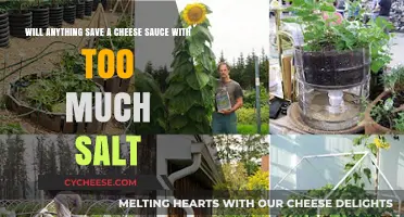 Too Salty Cheese Sauce? Quick Fixes to Save Your Dish