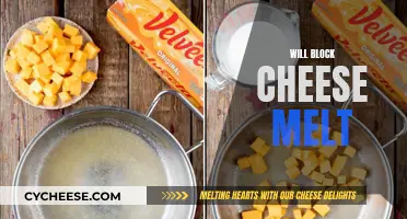 The Melting Mystery: Will Block Cheese Melt?