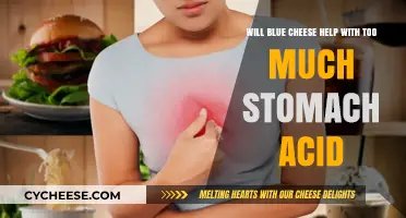 Blue Cheese and Stomach Acid: Can It Balance Your Digestive Discomfort?