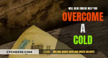 Blue Cheese: A Cold-Fighting Superfood?