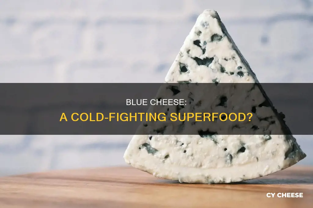 will blue cheese help you overcome a cold
