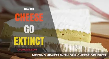 Could Brie Cheese Face Extinction? Exploring the Future of This French Delight