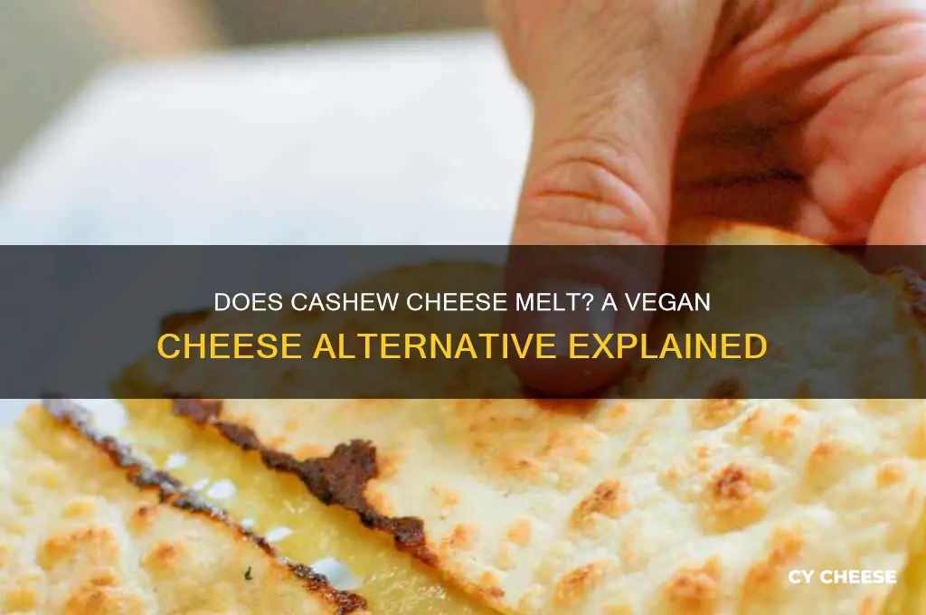 will cashew cheese nelt