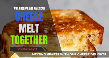 Melted Cheddar and American Cheese: A Tasty Fusion or a Culinary Disaster?