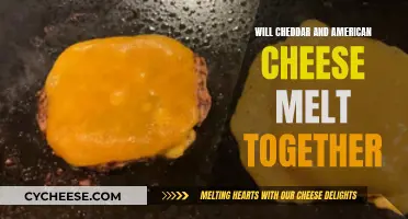 Melted Bliss: Cheddar and American Cheese Combination