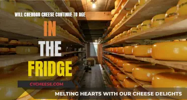 Cheese Aging: Will Cheddar Stay Fresh in the Fridge?