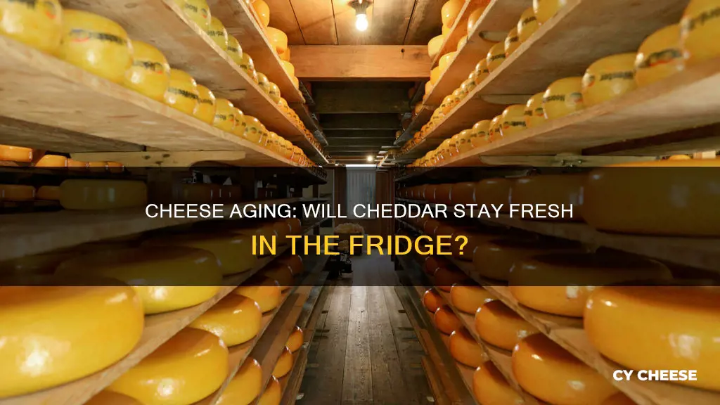 will cheddar cheese continue to age in the fridge