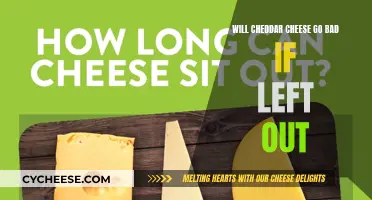 Cheddar's Shelf Life: Can It Go Bad if Left Unrefrigerated?