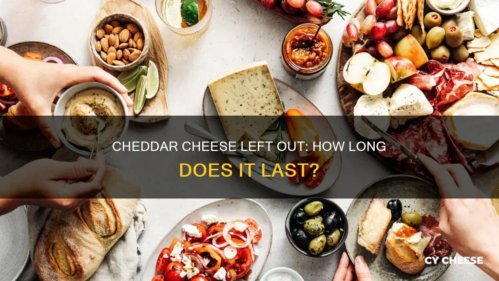 will cheddar cheese go bad if left out