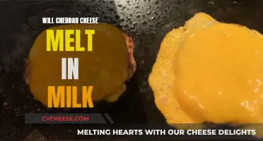 Melting Cheddar in Milk: What Happens?