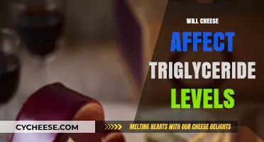 Cheese and Triglycerides: Impact on Heart Health Explained