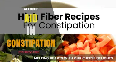 Can Cheese Relieve Constipation? Exploring Dairy's Role in Digestive Health