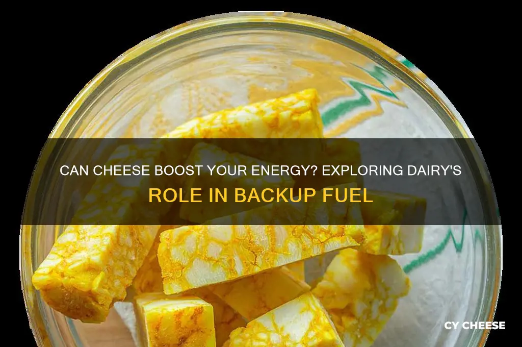 will cheese back me up