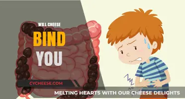 Does Cheese Cause Constipation? Debunking the Dairy Binding Myth