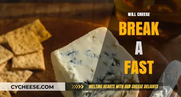 Does Cheese Break a Fast? Facts and Myths Explained