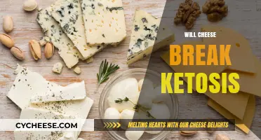 Can Cheese Fit into Keto? Ketosis and Dairy Explained