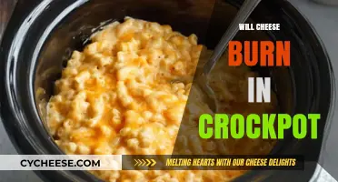 Does Cheese Burn in a Crockpot? Tips for Perfect Melting