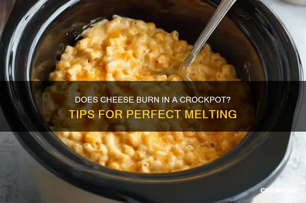 will cheese burn in crockpot
